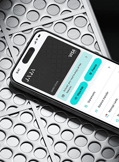 Portfolio case image